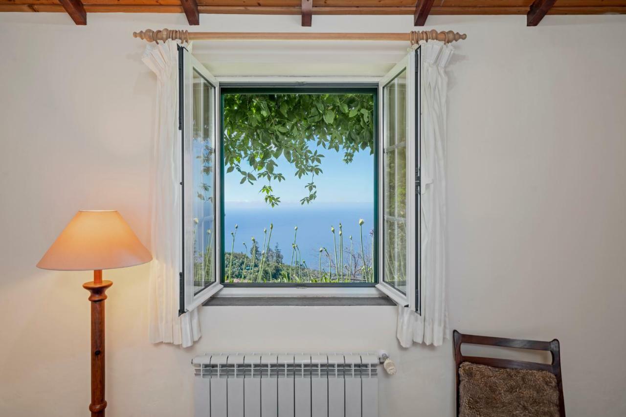 Quinta Devonia Farm stay Funchal (Madeira)