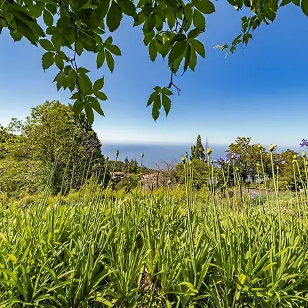 Quinta Devonia By An Island Apart Funchal  Exterior photo